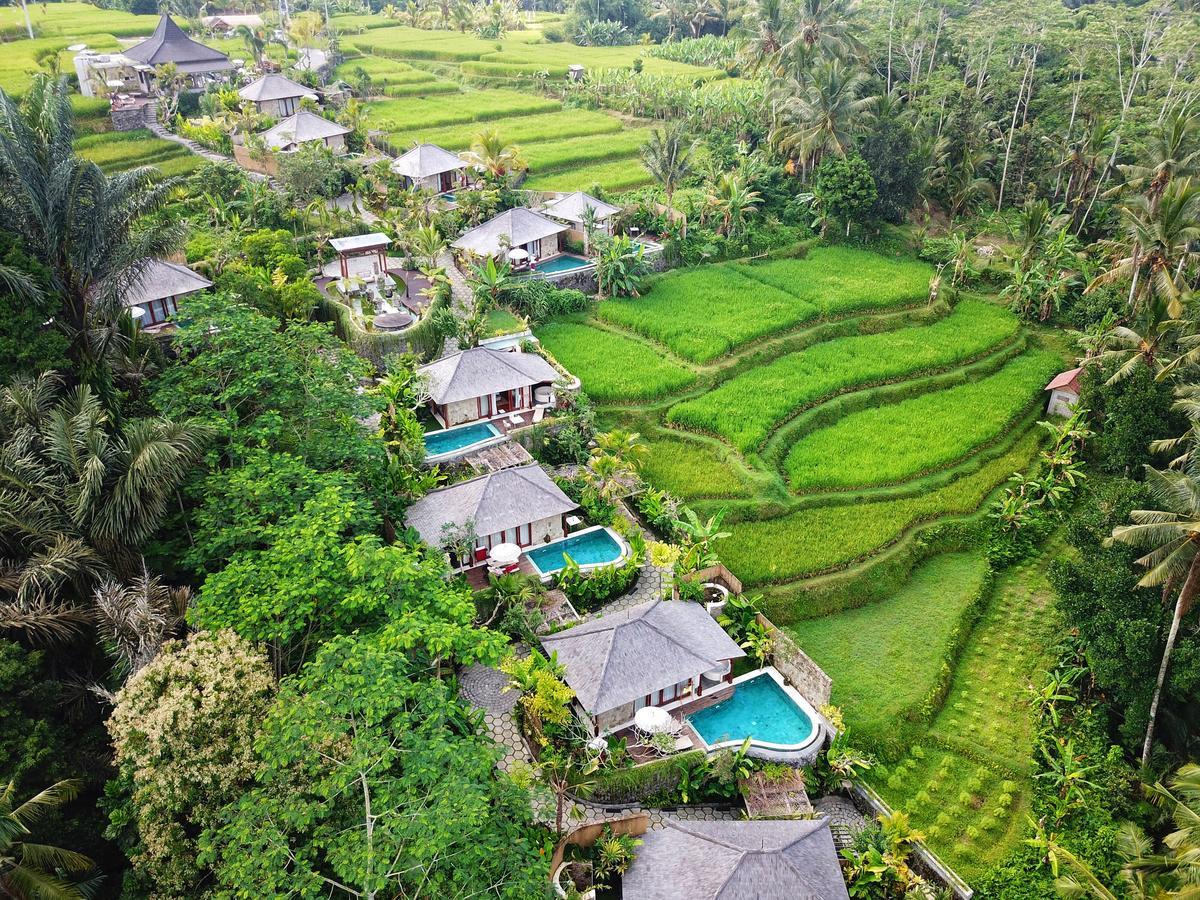 Nau Villa Ubud Tegallalang  Exterior photo